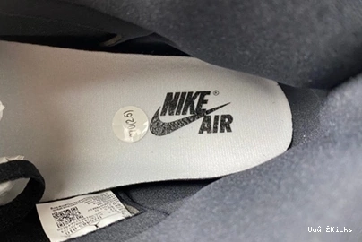 Cozy “Reverse Air 1 DZ5485-010 High OG Jordan Panda” 65 0805